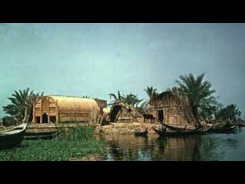 اغنية نويعة مسعود العمارتلي