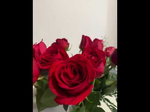 Flowers 🌺 ||trending ||shortviral ||mehakusa