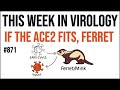 TWiV 871: If the ACE2 fits, ferret