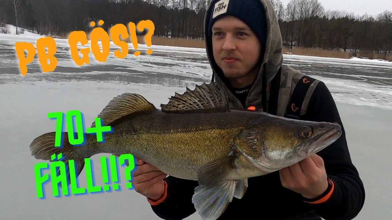 Ismete med 70+fäll?! (PB GÖS)