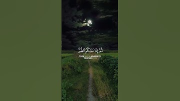 وَمَا بِكُم مِّن نِّعْمَةٍ فَمِنَ اللَّه#سورة_النحل #quran #قرآن #فارس_عباد #تلاوات #تلاوة_خاشعة