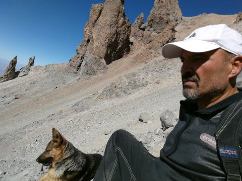 Erciyes'in Zirvesi'nde Kurt