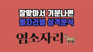 잘맞아서 기분나쁜 별자리별 성격분석｜염소자리