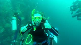 Galapagos Study Abroad Usfq 2019