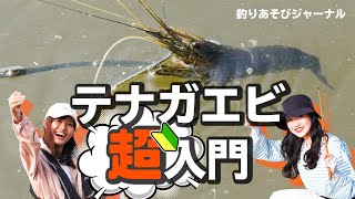 テナガエビ超入門。身近に楽しめる「釣って食べたい！」【釣りあそびジャーナル】