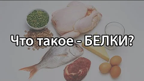Что такое белкИ? (какие продукты содержат белок)