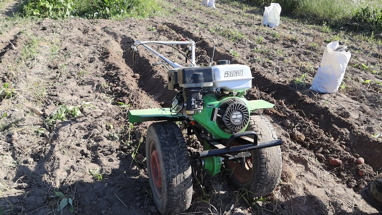 КОПАЕМ КАРТОФЕЛЬ МОТОБЛОКОМ - YouTube