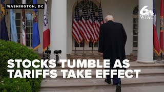 Stock market ravaged by Trump's tariff fallout in Wall Street's worst day since pandemic shutdown