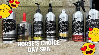 Grooming Day: Spa Treatment for Horses with Horse's Choice Products