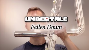 UNDERTALE - Fallen Down  |  Contrabass Flute