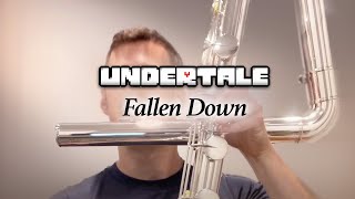 UNDERTALE - Fallen Down  |  Contrabass Flute Resimi