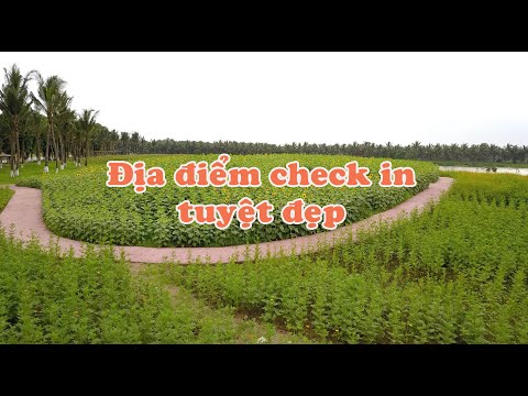 Địa điểm check in cuối tuần đồi hoa hướng dương Ecopark tuyệt đẹp