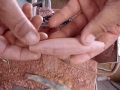 How to Make a Wooden Lure on a Lathe How to Make a Wooden Lure on a Lathe