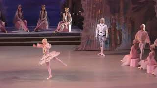 31/12/19 Victor Caixeta (debut) Yana Selina Daria Ionova Nutcracker Pas de Trois