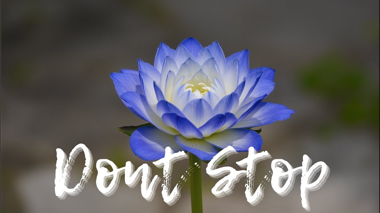 Не останавливайся