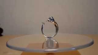 Silver Nabi Cat ring