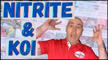 Koi pond Nitrite - What Every Koi Keeper needs to know!!
