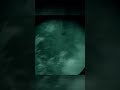 Vehicle Ambush with NVGs #airsoft #cqb #nods #thermalvision