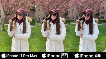 iPhone SE (2020) vs iPhone 11 Pro Max vs iPhone XR | Camera Test