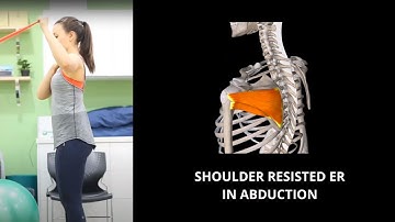 Shoulder Resisted External Rotation In Abduction