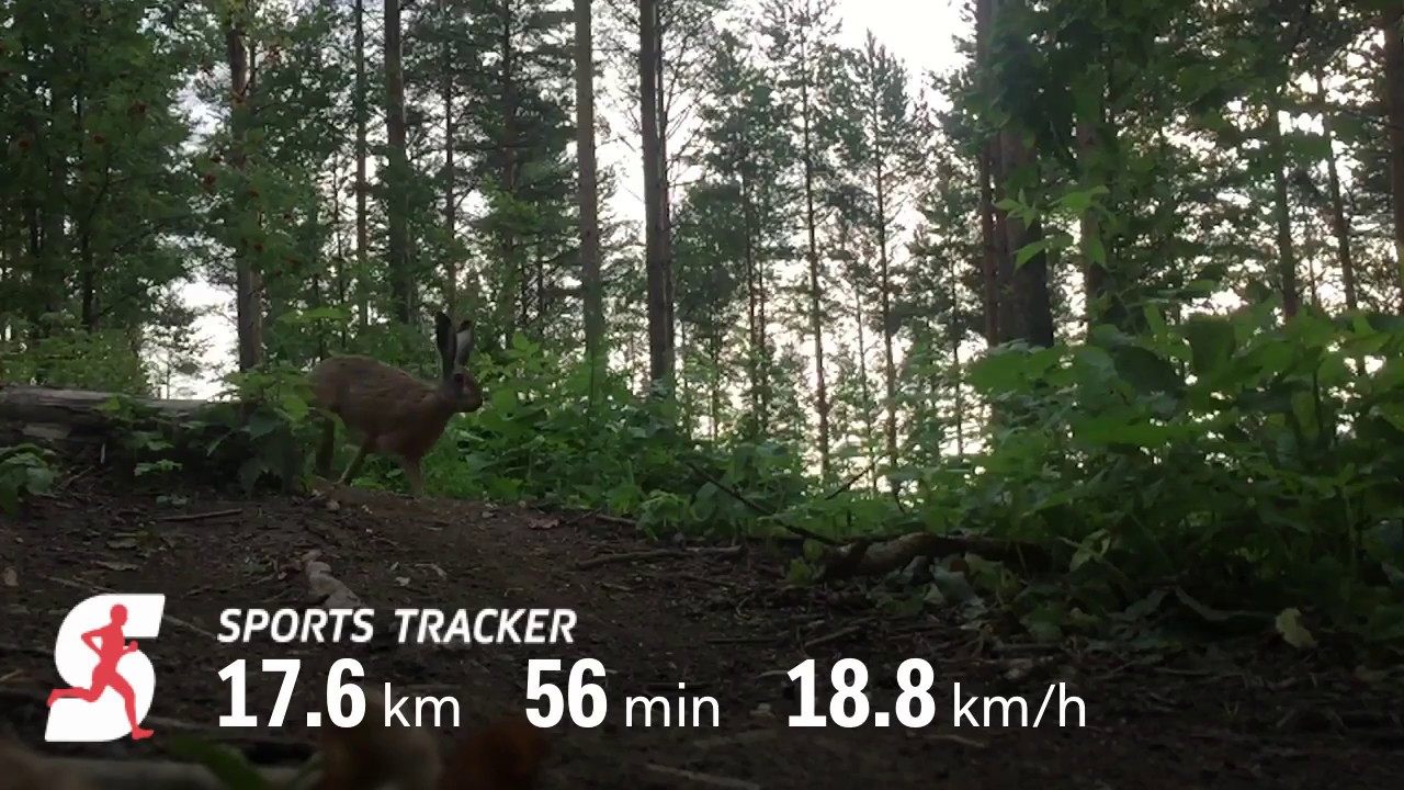 relive sports tracker relive sports tracker