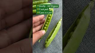 11 peas in a pod #greenpeas
