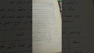 دراسة للجمل والتراكيب في رسالة الغفران : شرح نصوص