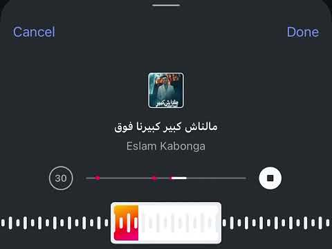 البنت اللي انتي نفسك فيها حالات واتس 