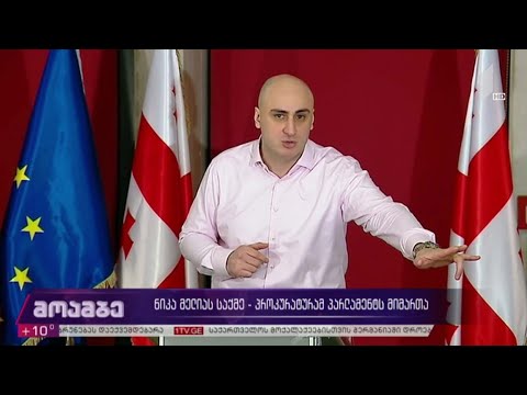 ნიკა მელიას საქმე - პროკურატურამ პარლამენტს მიმართა