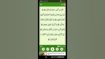 #قرآن كريم - سوره المطففين ( الشيخ ياسر الدوسري ) من الايه 29 إلى الايه 36 ( 83 )