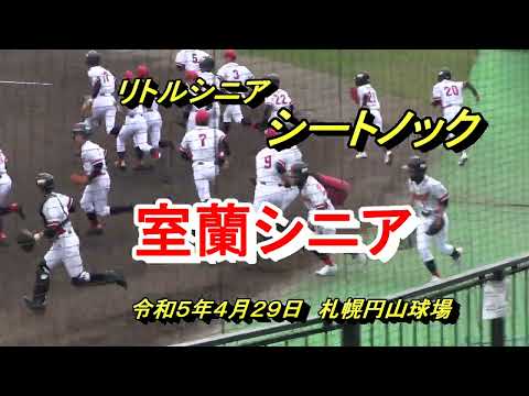 【リトルシニア】　室蘭シニア　シートノック　令和５年４月２９日