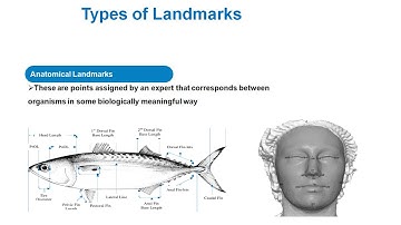 2. Landmarks acquisition concept in morphometrics
