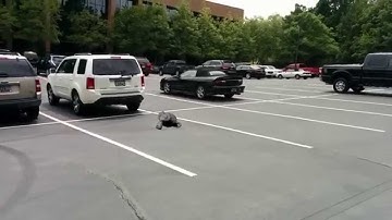 Blender Composite - Tracking Test