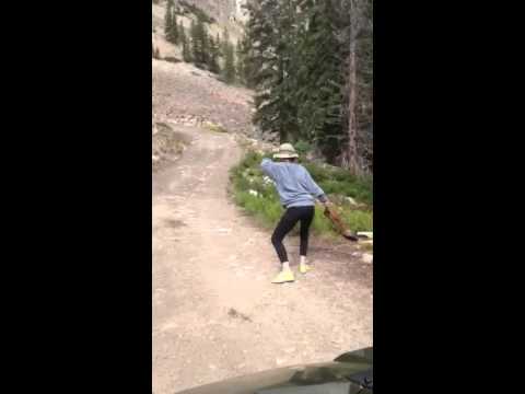 The Marmot dance