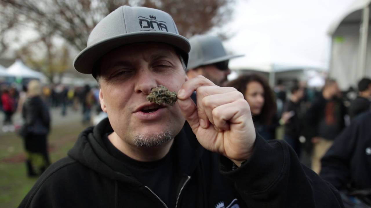 DNA Genetics | Cannabis Seed Company Mini Doc