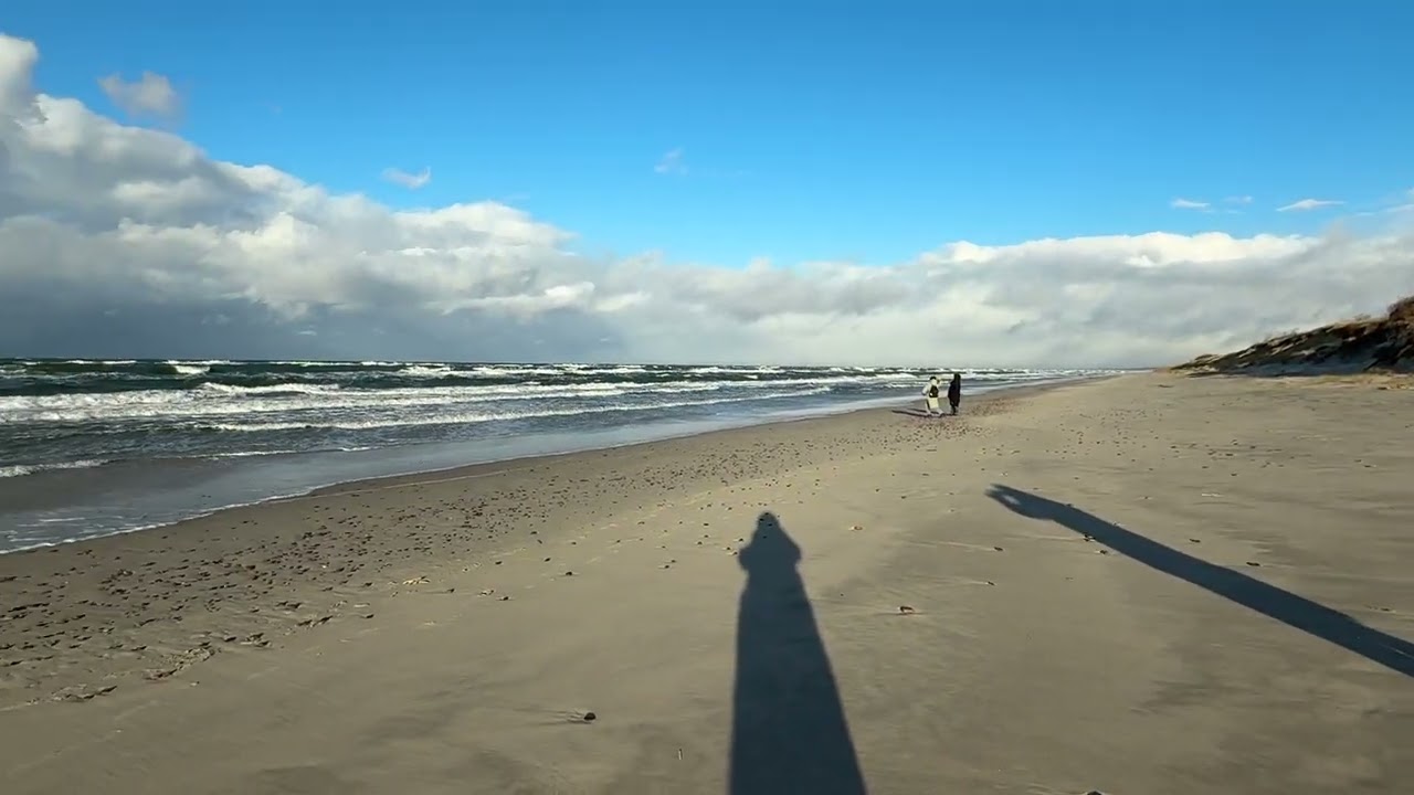 Куршская коса 