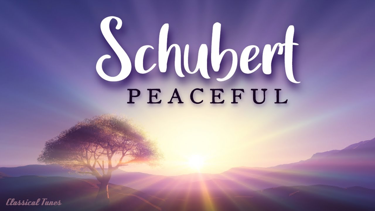 Franz Schubert | Peaceful Playlist Classical Music - YouTube
