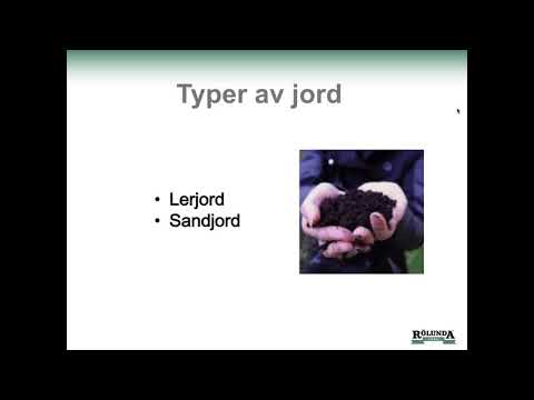 Video: Lerig jord: egenskaper, fördelar, nackdelar, växter