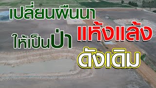 แห้งแล้งเพราะไม่มีต้นไม้ ไม่มีป่า | คนรักษ์ป่า ep 198