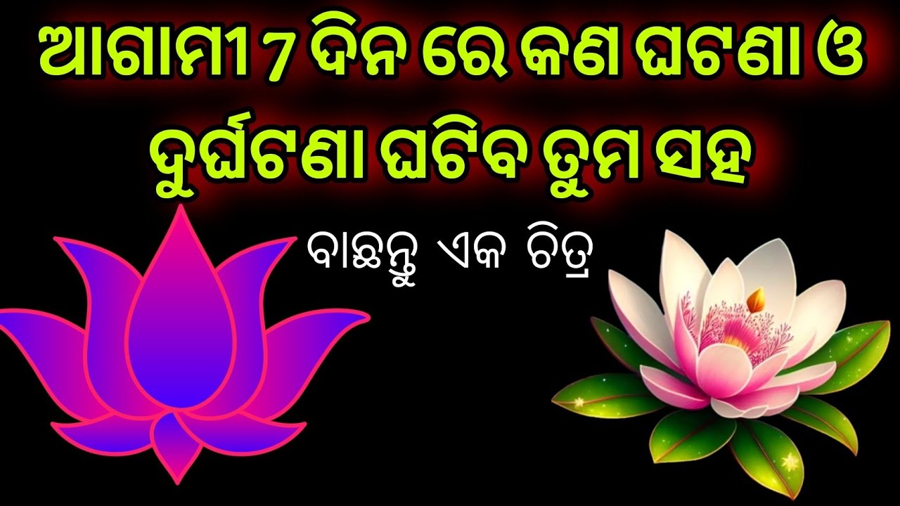 Pick a card Odia 🧿odia astrology 📌 Odia Tarot card reading