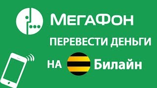 Как перевести деньги с МегаФона на Билайн команда перевода. Супер ответ Как перевести деньги с МегаФона на Билайн команда перевода. Супер ответ