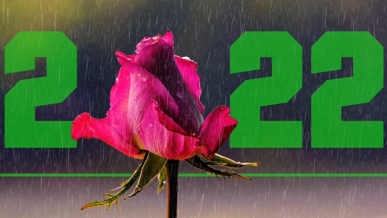 2022: What This Year Taught Me