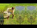 Best Net Fishing Video - River Net Fishing by Old Fisherman - Amazing Net Fishing Videos