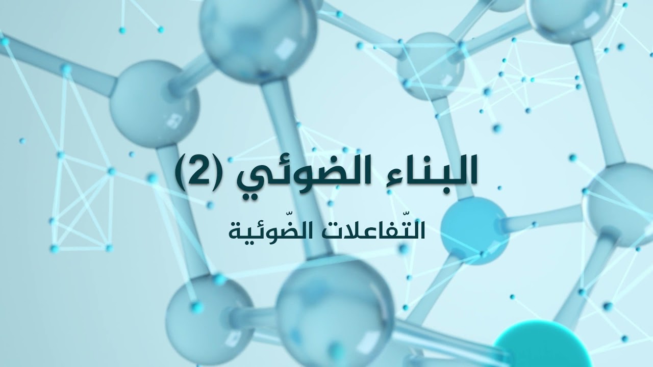 -2021- الأحياء | الوحدة 1 | البناء الضوئي 2 التفاعلات اللاضوئية | الدرس 2 | الصف 12 | الفصل 1