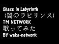 Chase In Labyrinth (闇のラビリンス)  TM NETWORK 歌ってみた BY waka-network