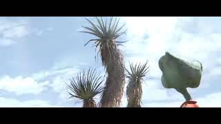 Rango 2011 Trying To Blend In