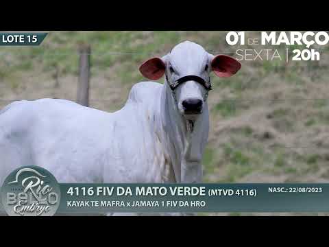 LOTE 15   MTVD 4116