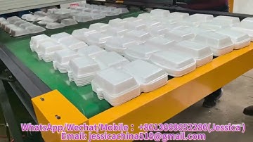 ps foam box machine robot arm type ps foam take away disposable plastic food container machine