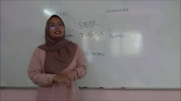 ASTRO MSIA HOLDING BHD (Strategic Audit Report Assignment)