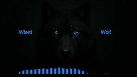 Progressive & Melodic WierdWolfMix